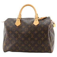 Louis Vuitton Speedy Handbag Monogram Canvas 30