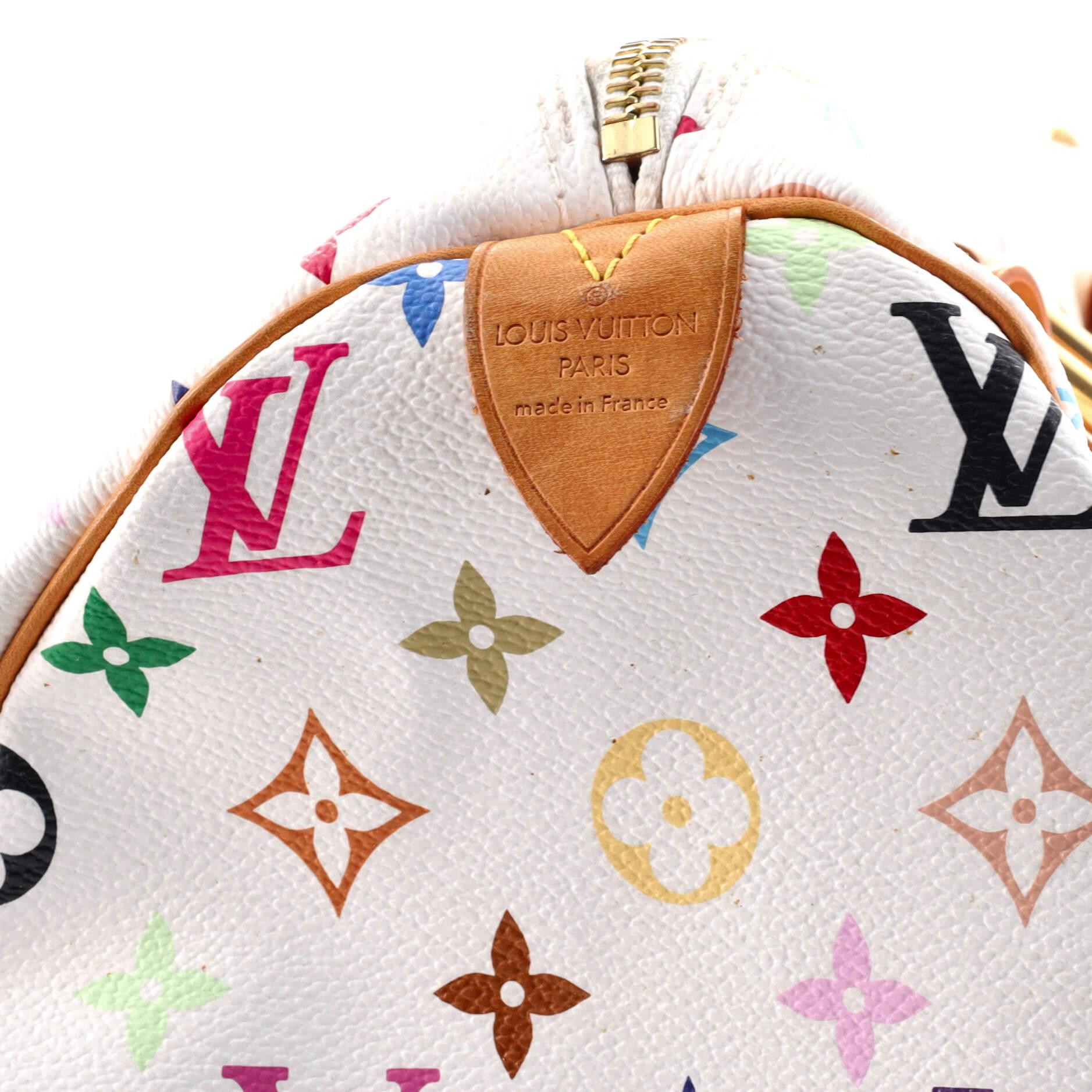 Louis Vuitton Speedy Handbag Monogram Multicolor 30 4