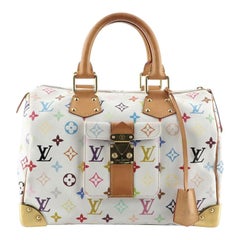 Louis Vuitton Speedy Handbag Monogram Multicolor 30