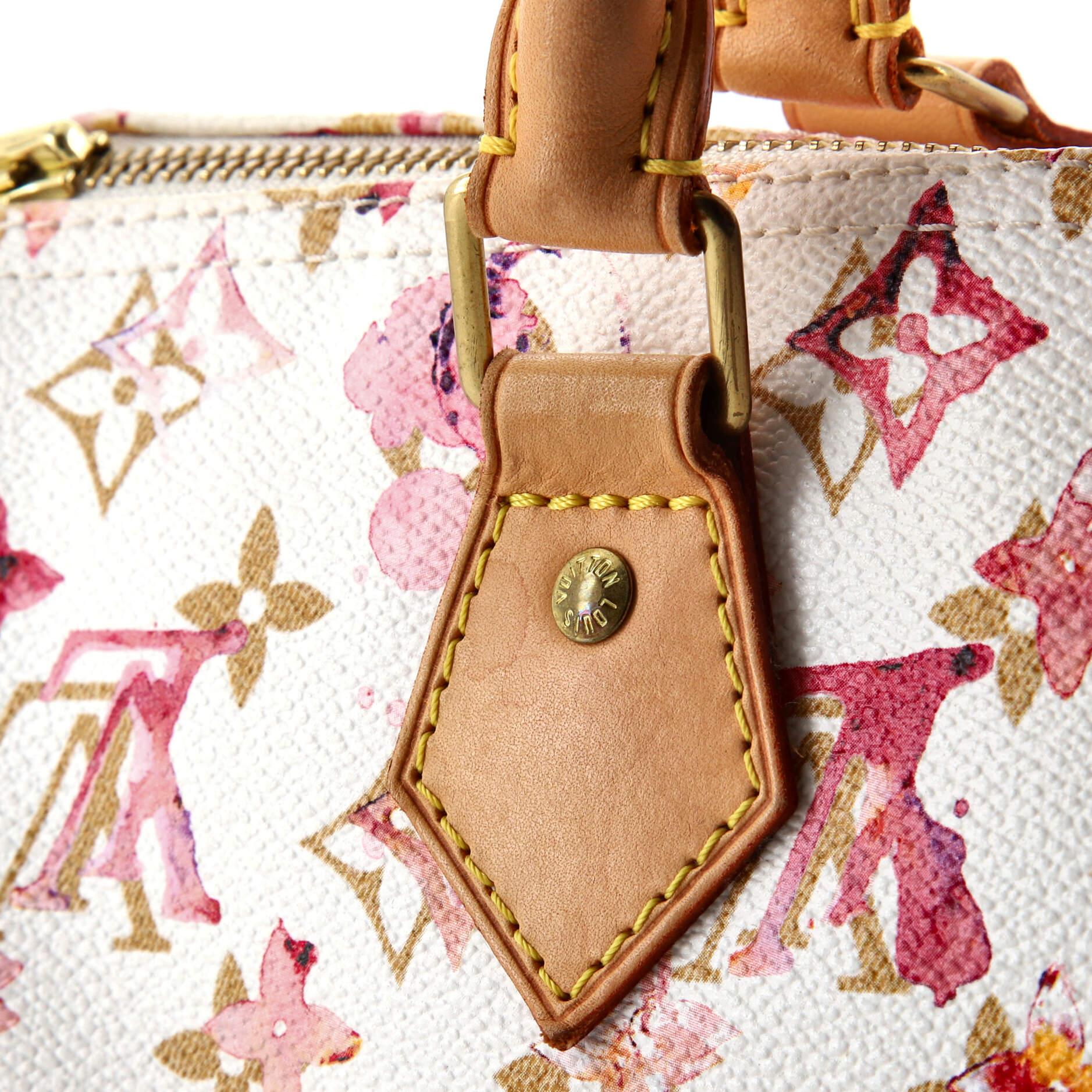 Louis Vuitton Speedy Handbag Monogram Watercolor Aquarelle 30 3