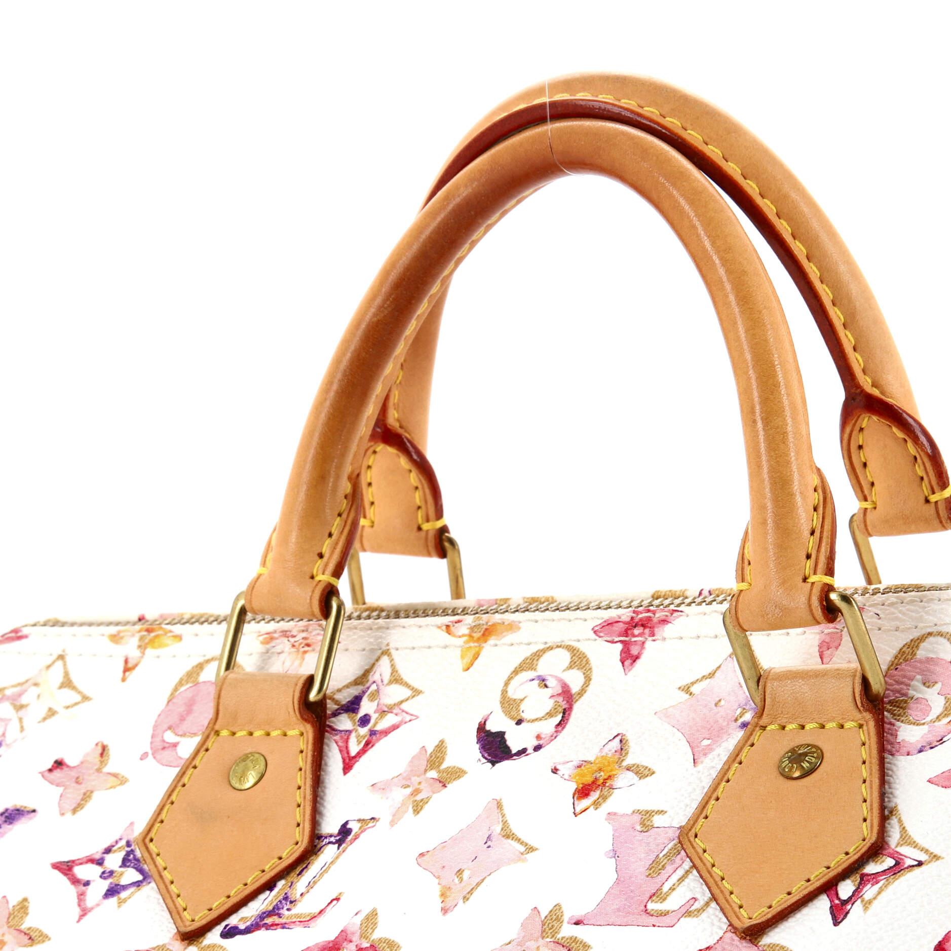 Louis Vuitton Speedy Handbag Monogram Watercolor Aquarelle 30 4