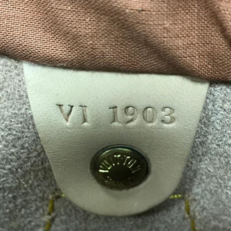 Louis Vuitton Speedy Handbag Nomade Leather 30 4