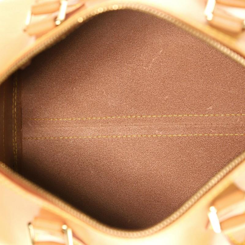Women's or Men's Louis Vuitton Speedy Handbag Nomade Leather 30
