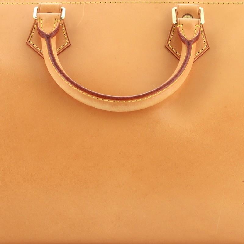 Louis Vuitton Speedy Handbag Nomade Leather 30 1