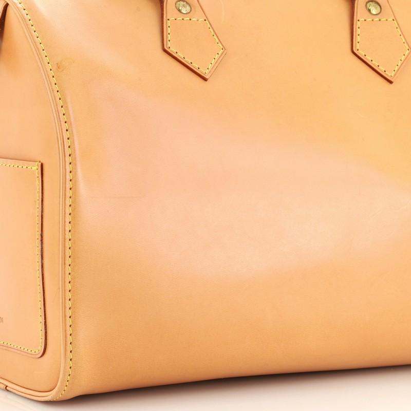 Louis Vuitton Speedy Handbag Nomade Leather 30 3