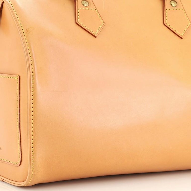 Louis Vuitton Speedy Handbag Nomade Leather 30 Neutral 482545