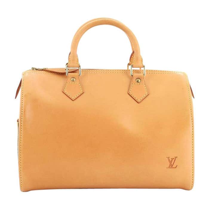 Louis Vuitton Speedy Handbag Nomade Leather 30 at 1stDibs | lv nomade ...