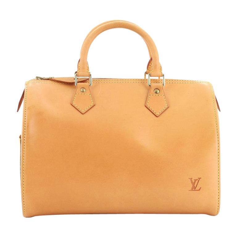 Louis Vuitton Speedy Handbag Nomade Leather 30 at 1stdibs