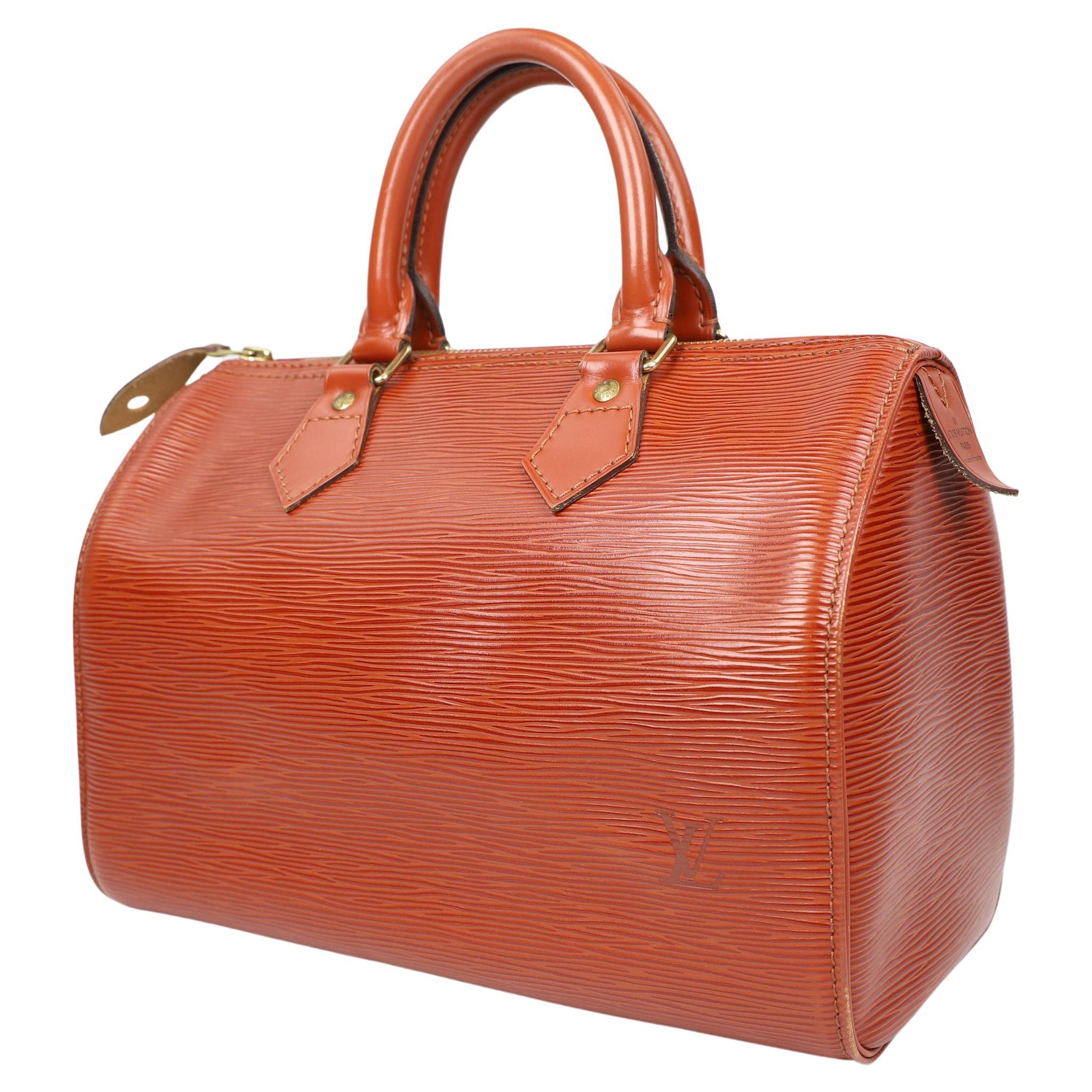 Louis Vuitton Speedy leather handbag