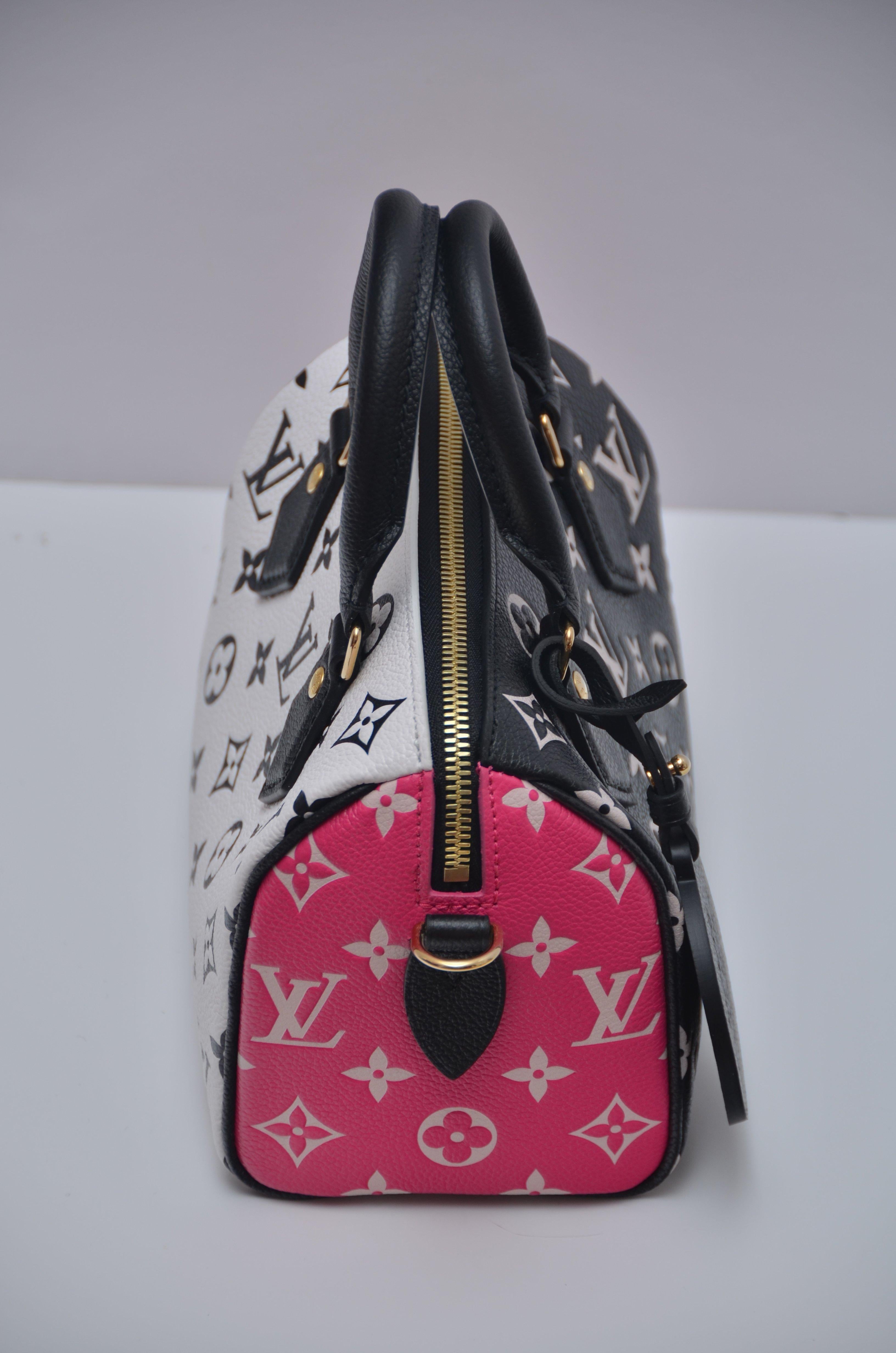pink and black louis vuitton bag
