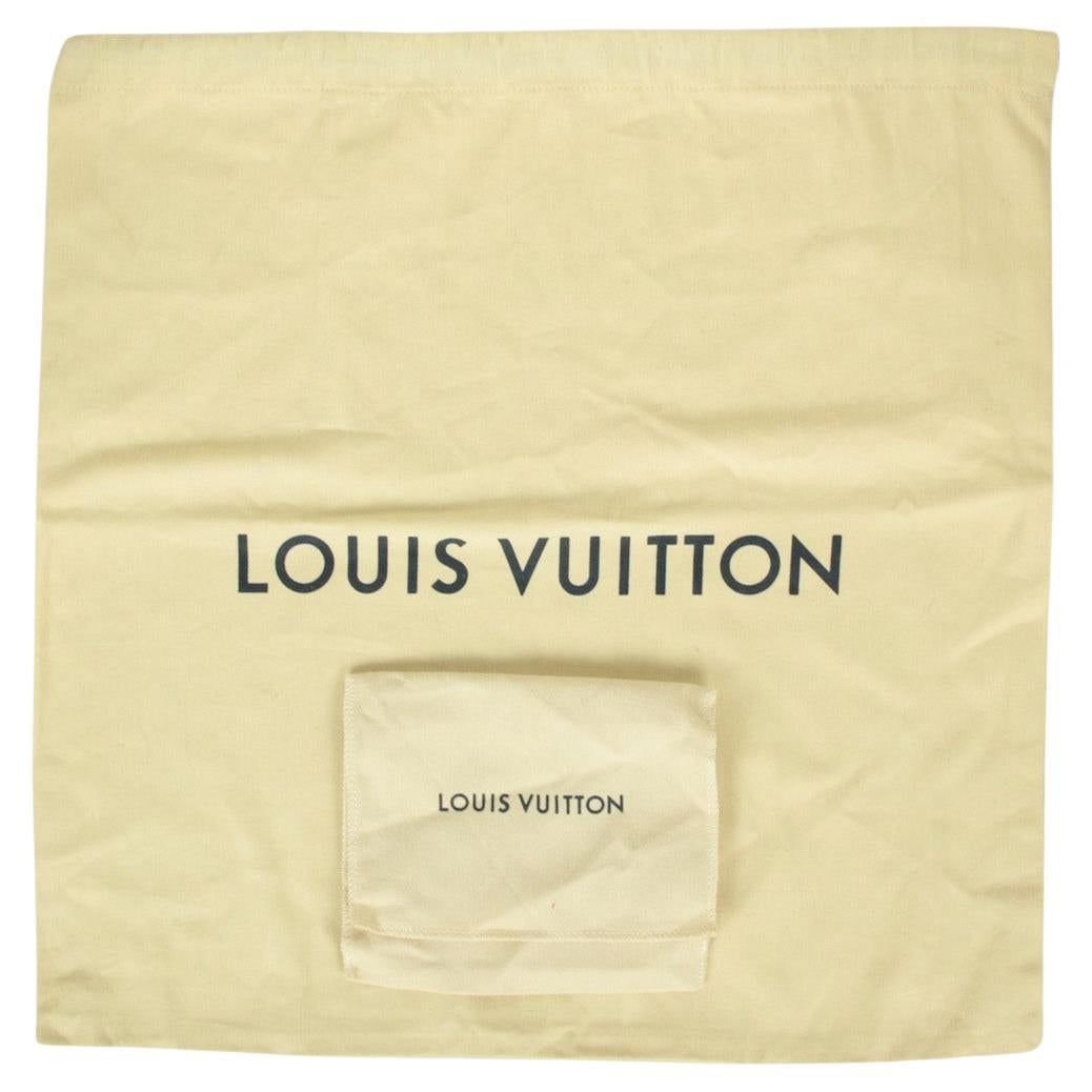 Louis Vuitton Storm Blue Leather Embossed Monogram Coussin PM Bag For Sale 4
