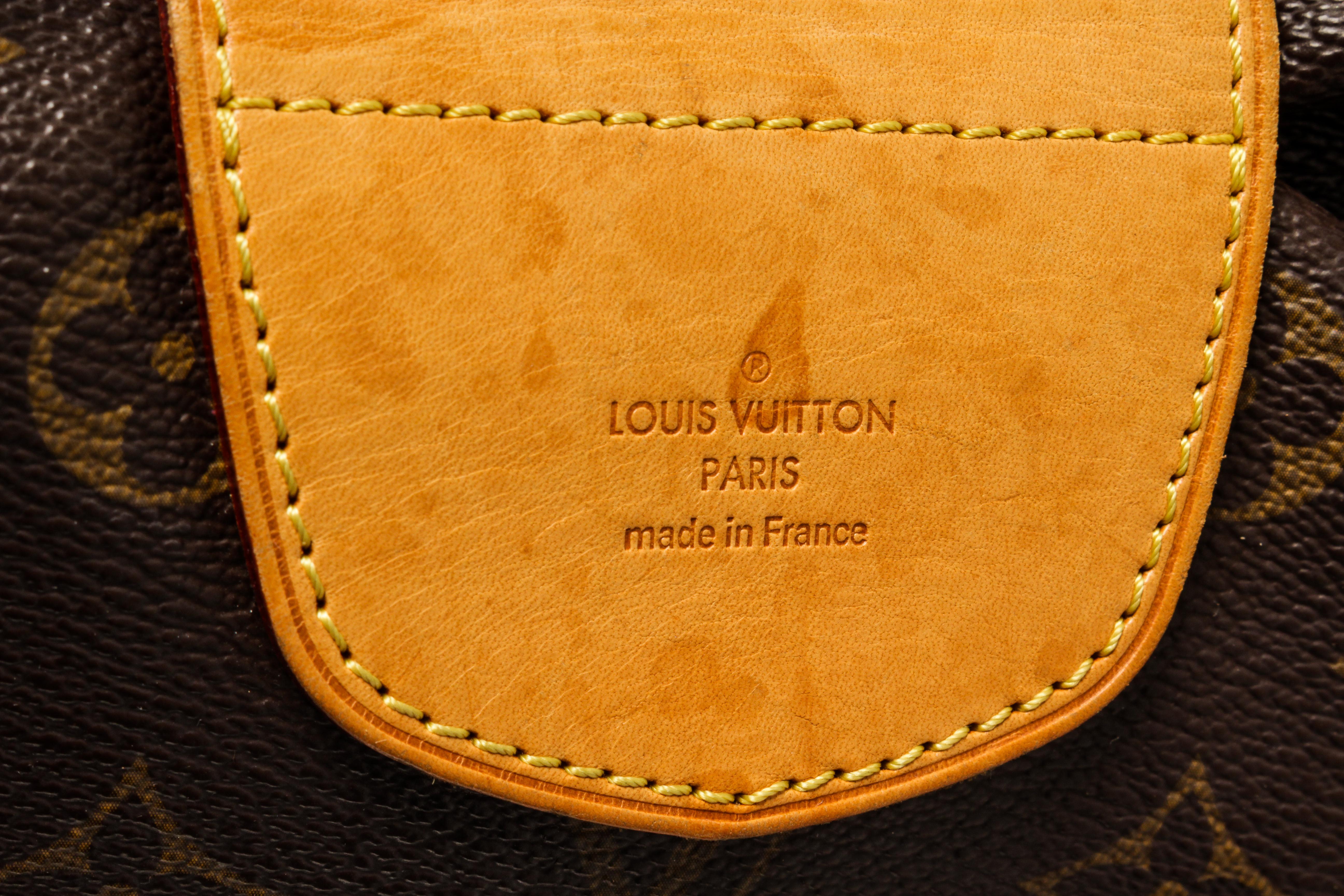 Louis Vuitton Stresa MM For Sale 1
