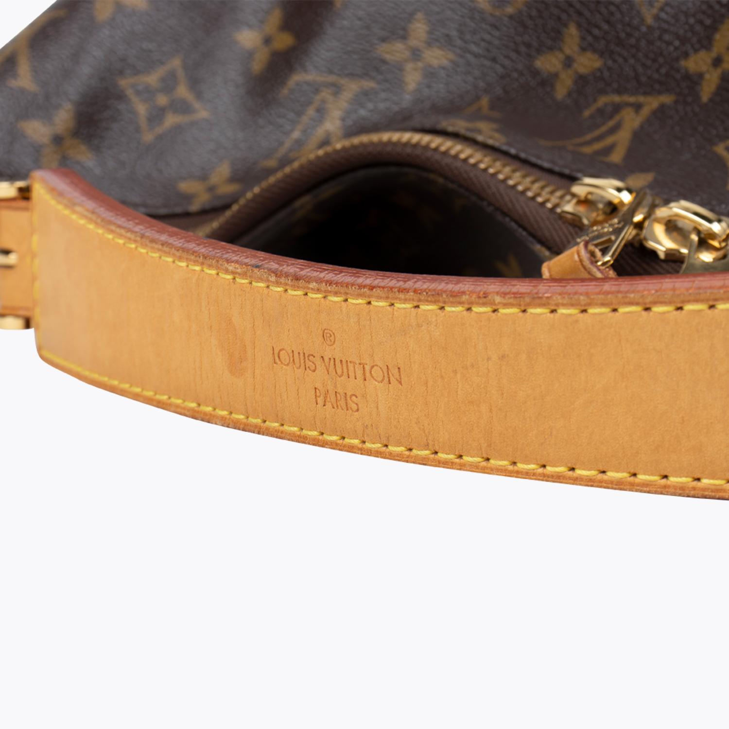 Louis Vuitton Sully MM Bag 1