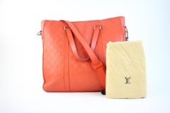 Louis Vuitton Tadao Damier Infini 213828 Tote