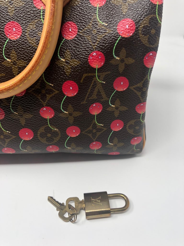Louis Vuitton Speedy Limited Edition Cerises 25 at 1stDibs