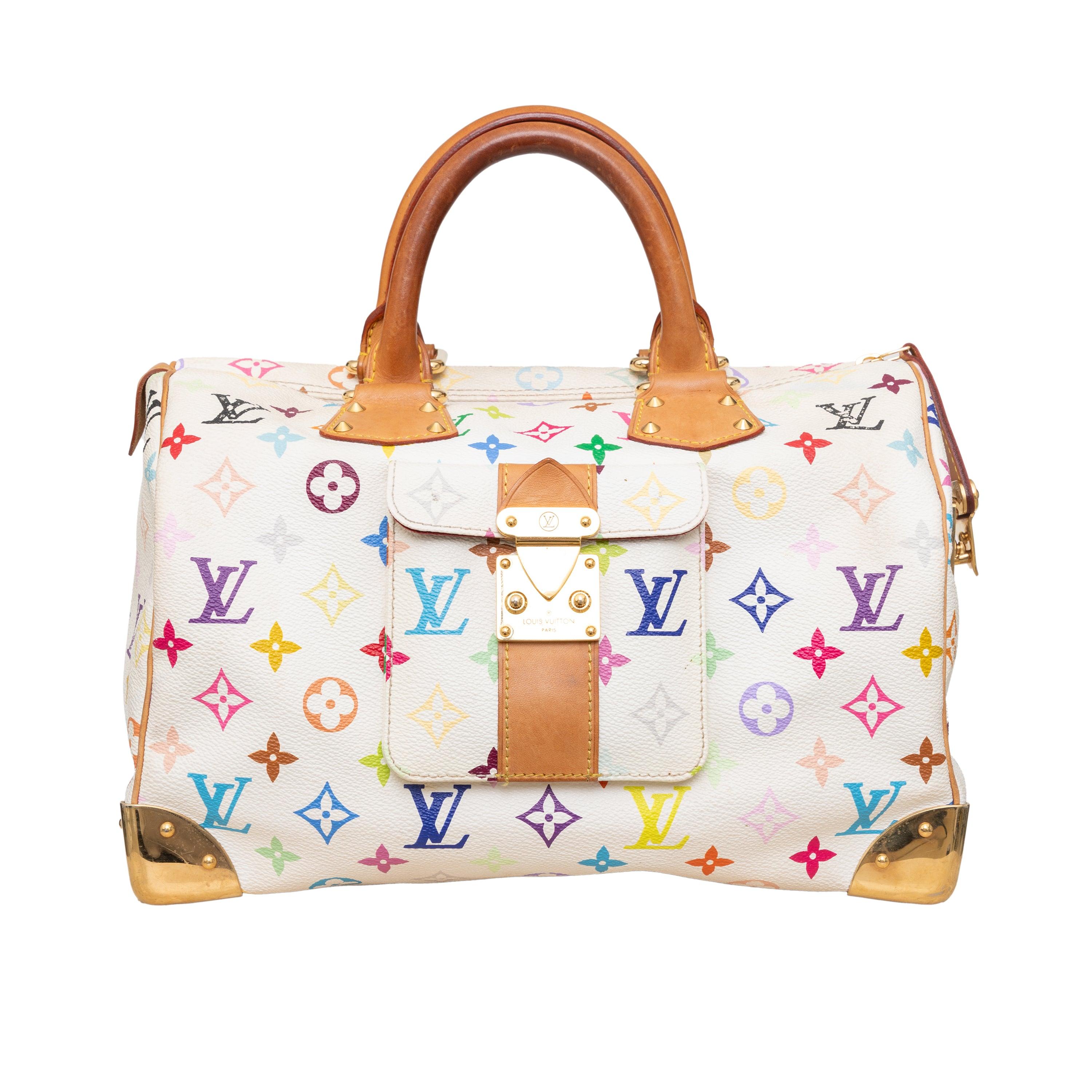 Louis Vuitton Takashi Murakami Speedy 30 Handbag - '00s For Sale