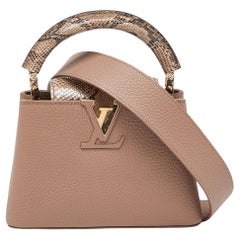 Louis Vuitton Taupe Leather and Python Capucines Mini Bag