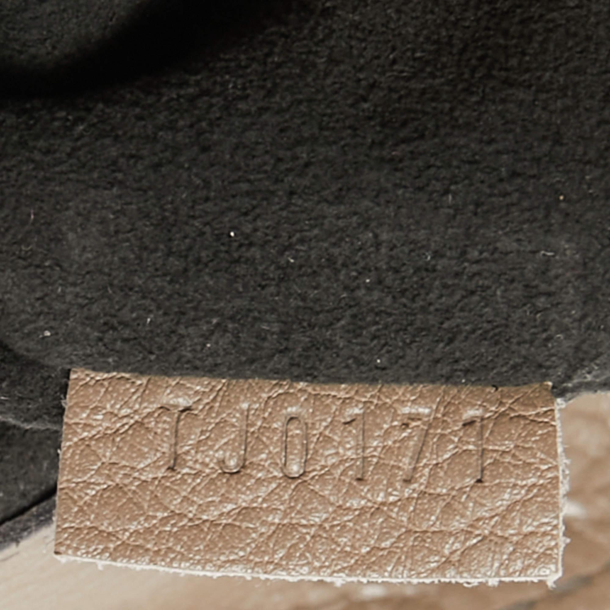 Louis Vuitton Taupe Monogram Mahina Leather Cirrus PM Bag For Sale 2