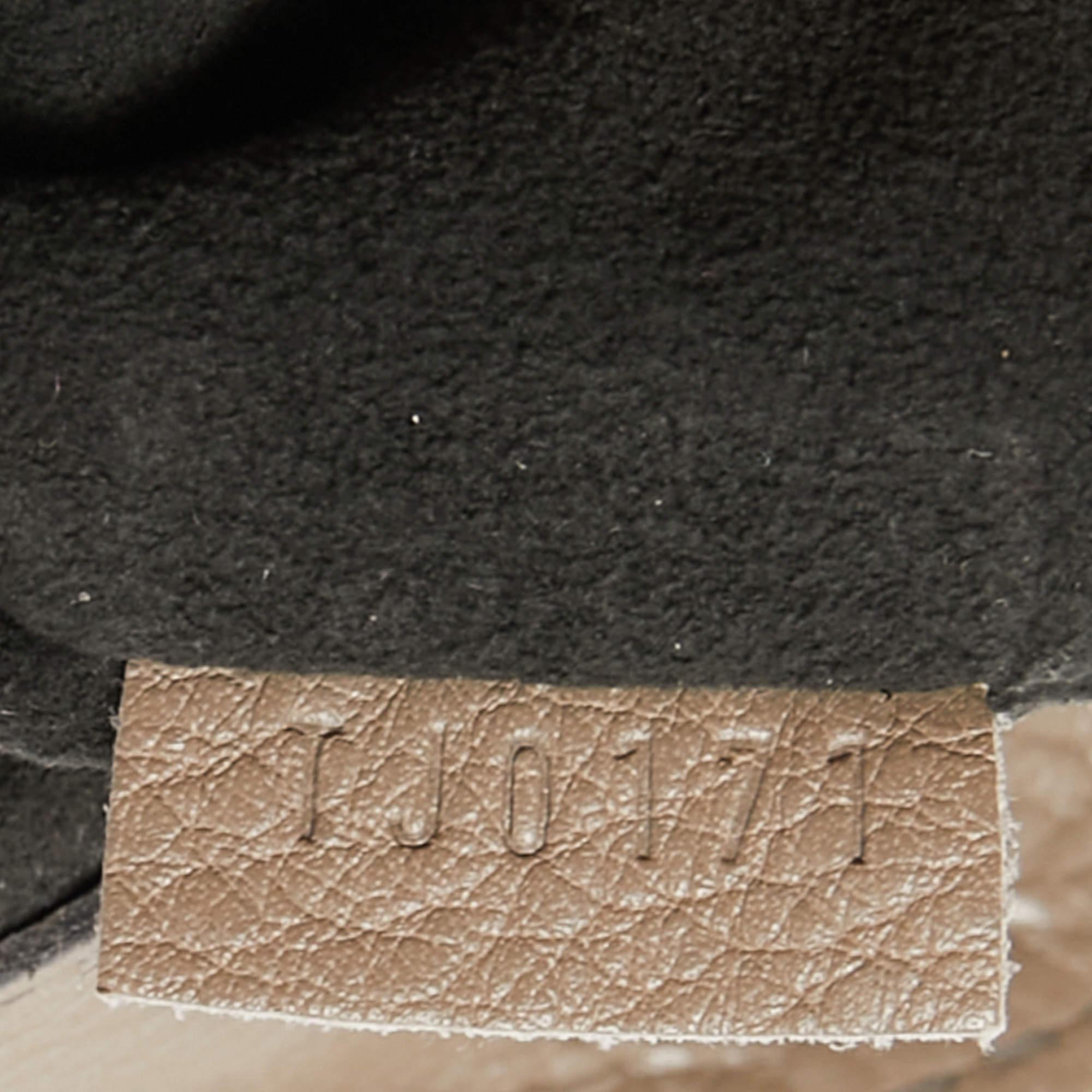 Louis Vuitton Taupe Monogram Mahina Leather Cirrus PM Bag 2