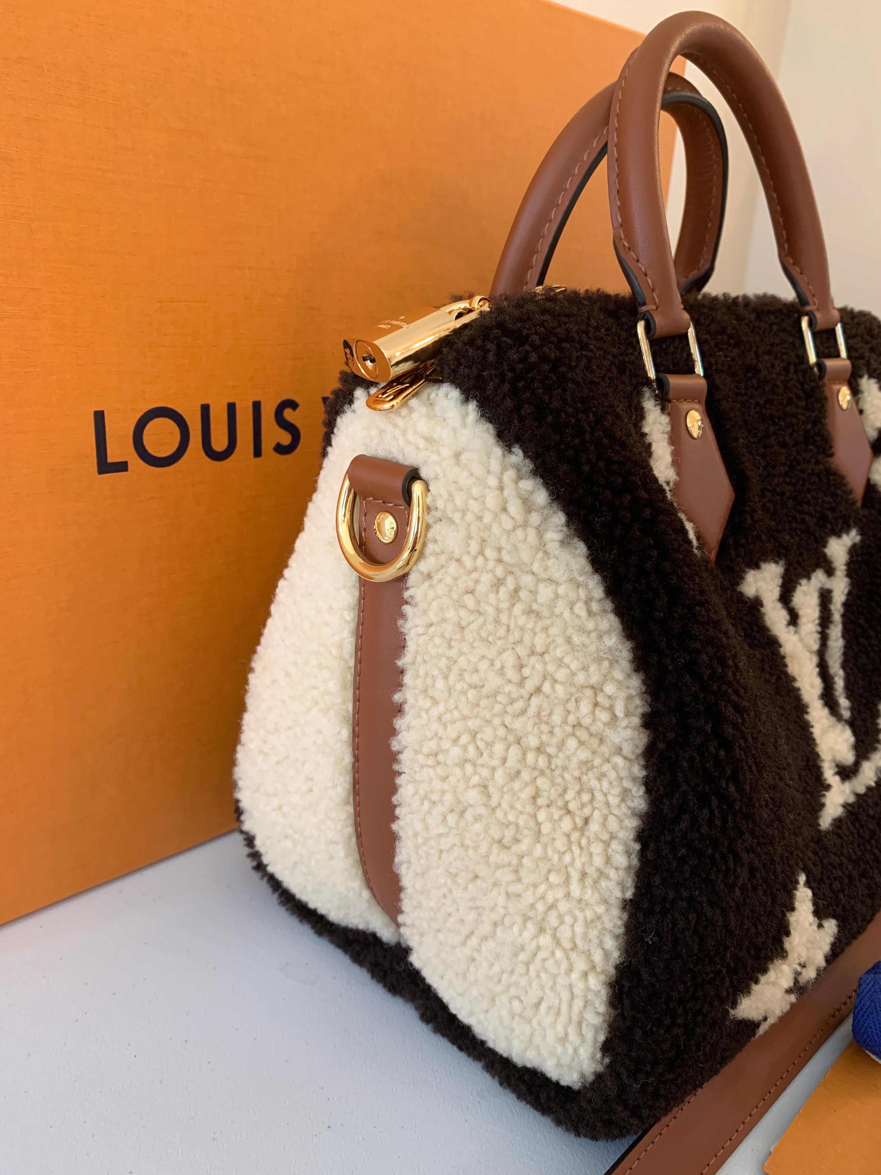 Louis Vuitton Teddy Monogram Shearling Speedy 25 Bandouliere Bag 2