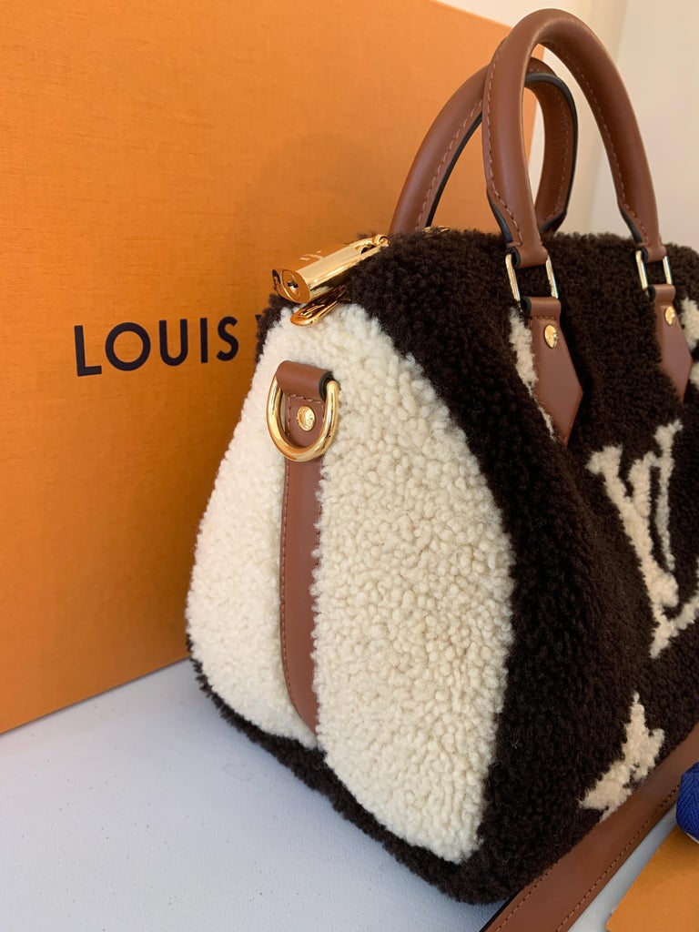 FWRD Renew Louis Vuitton Monogram Bandouliere 25 Teddy Speedy Bag