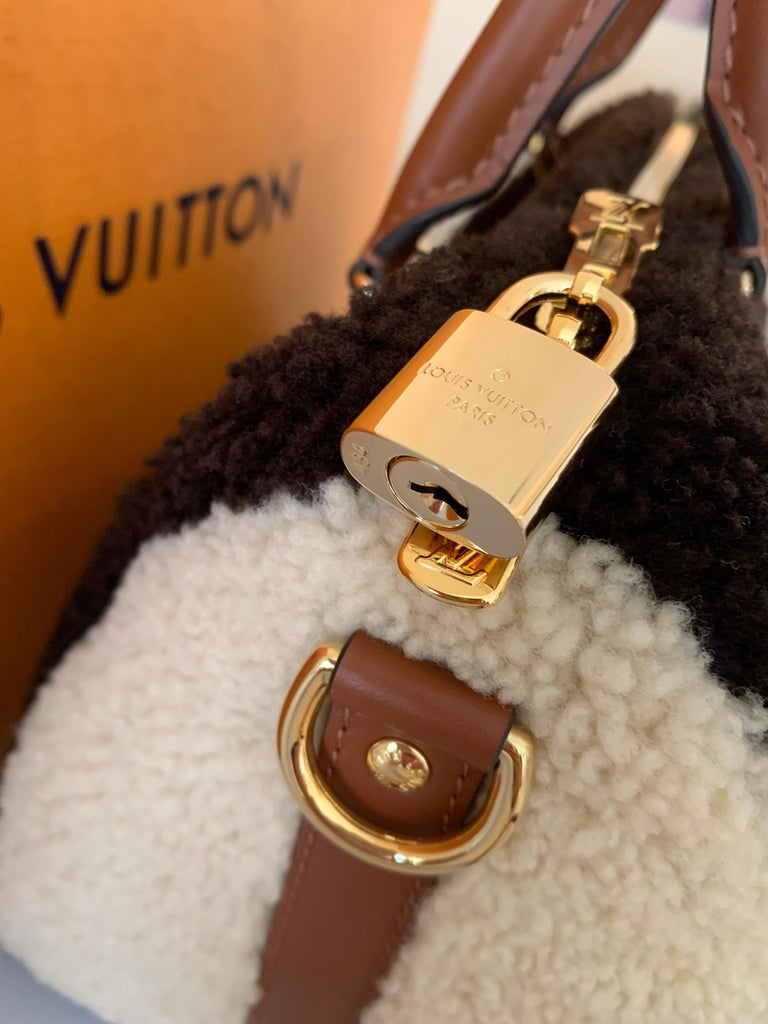 Louis Vuitton Limited Edition Monogram Fleece Teddy Speedy Bandouliere 25  Bag - Yoogi's Closet