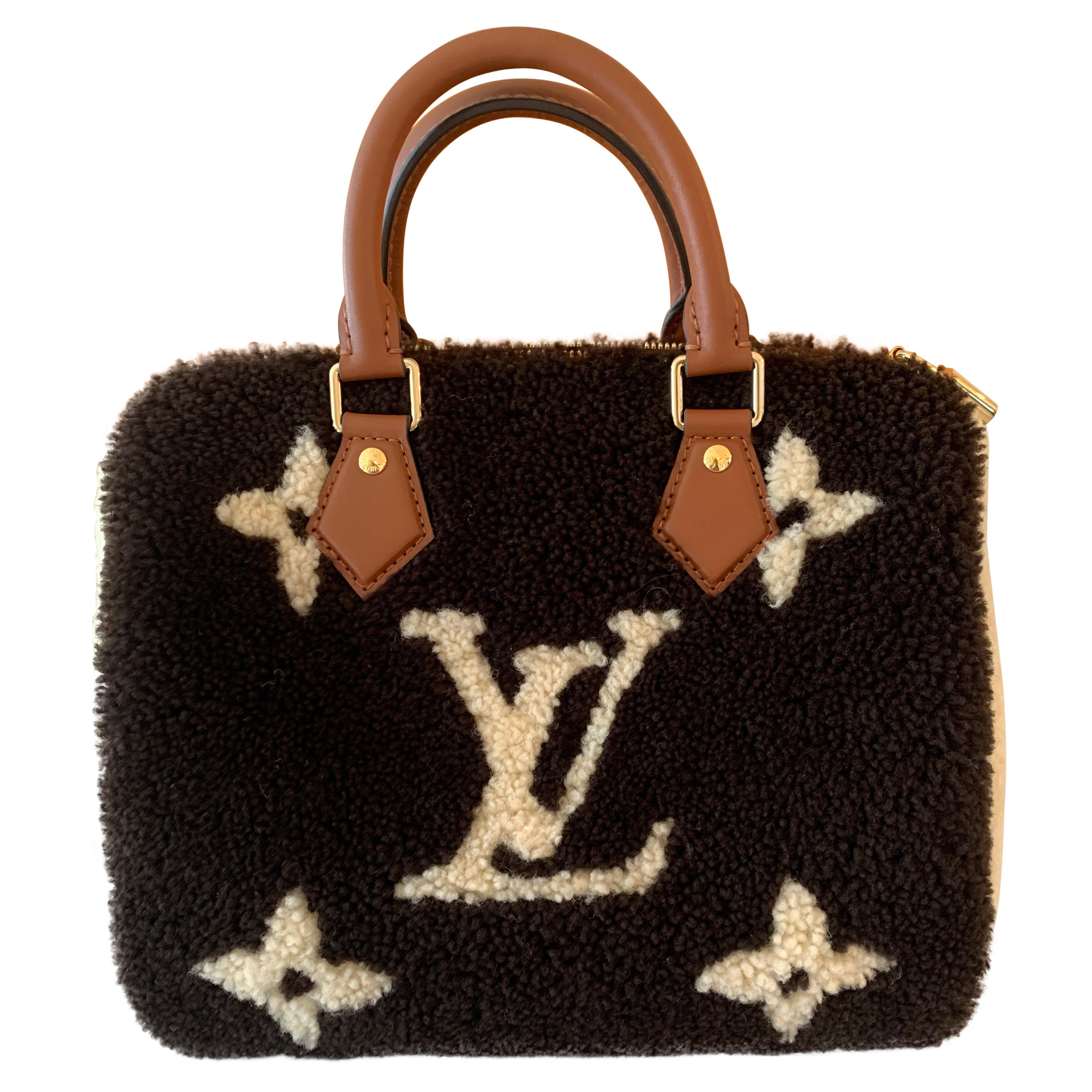 Louis Vuitton Black Multicolor Calfskin Shearling Teddy Speedy Bandoulière  30 Gold Hardware Available For Immediate Sale At Sotheby's