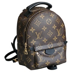 Louis Vuitton The Palm Springs Mini backpack LV monogram logo, NEW!