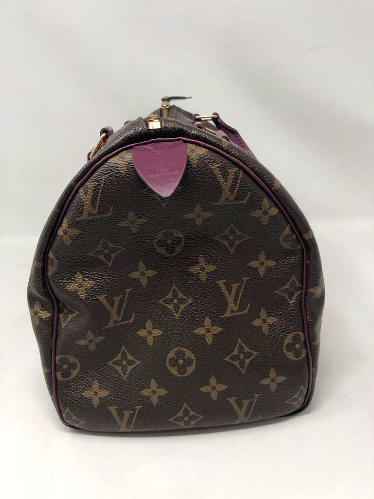 Louis Vuitton Totem Speedy 30 For Sale at 1stdibs