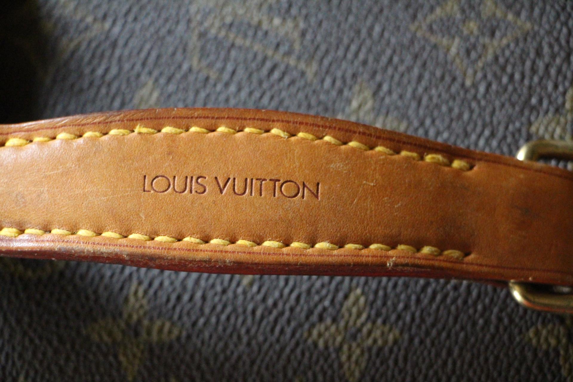 Louis Vuitton Train Case, Louis Vuitton Beauty Case 3