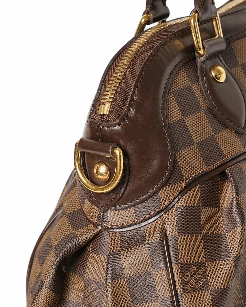 Louis Vuitton Trevi MM Damier Ebene 6