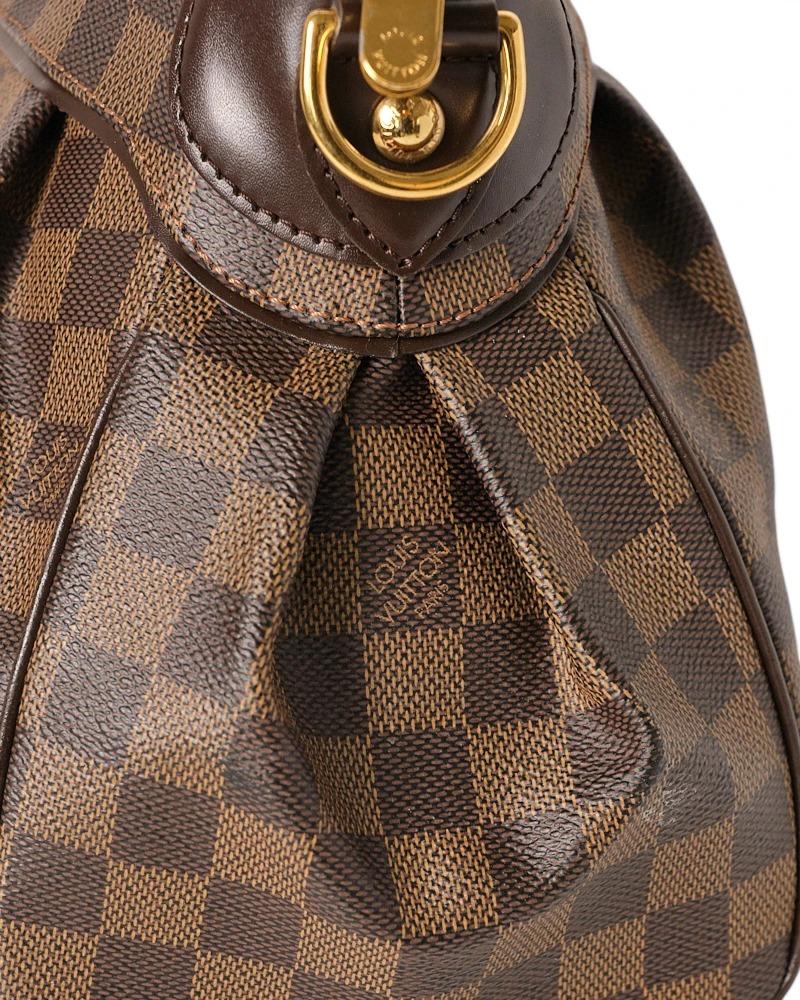Louis Vuitton Trevi MM Damier Ebene 8