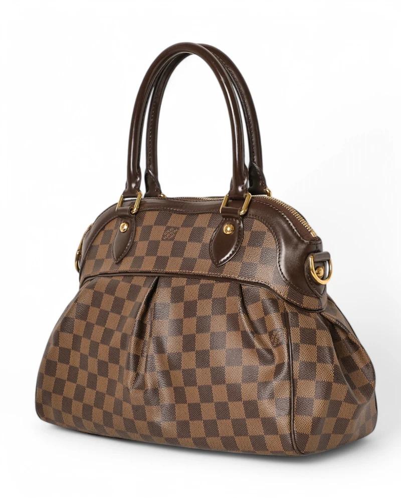 Louis Vuitton Trevi MM Damier Ebene 1
