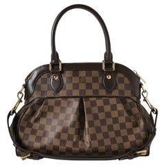 Louis Vuitton Trevi MM Damier Ebene