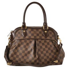 Louis Vuitton Trevi MM Damier Ebene