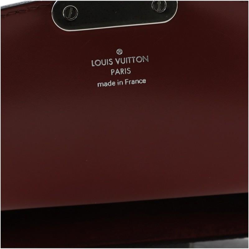 Louis Vuitton Tricolor Eden Handbag Epi Leather PM 4