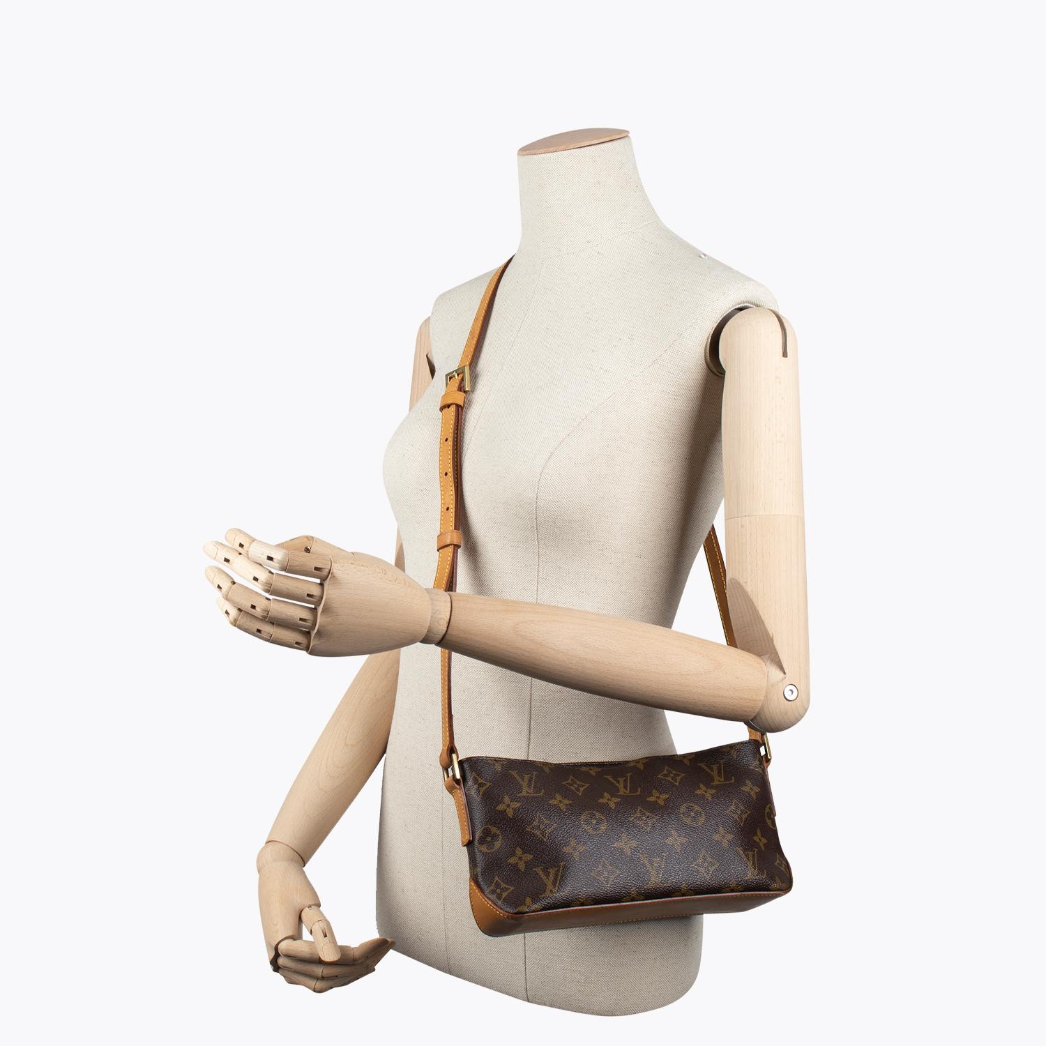 Louis Vuitton Trotteur Crossbody Bag 5