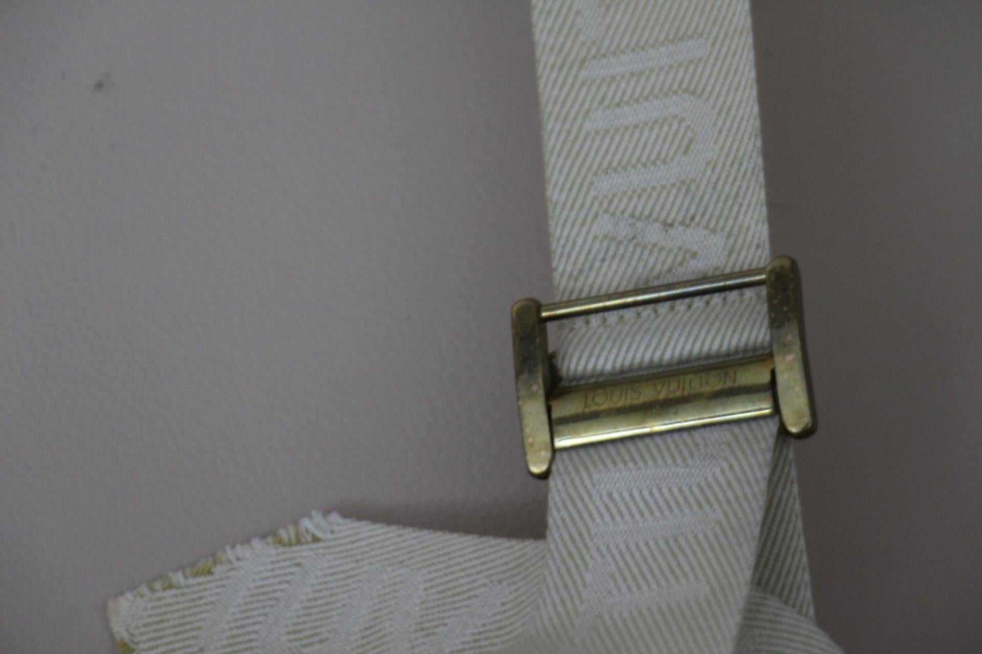Louis Vuitton Trunk, Louis Vuitton Suitcase, Vuitton Steamer Trunk, Alzer 80 12