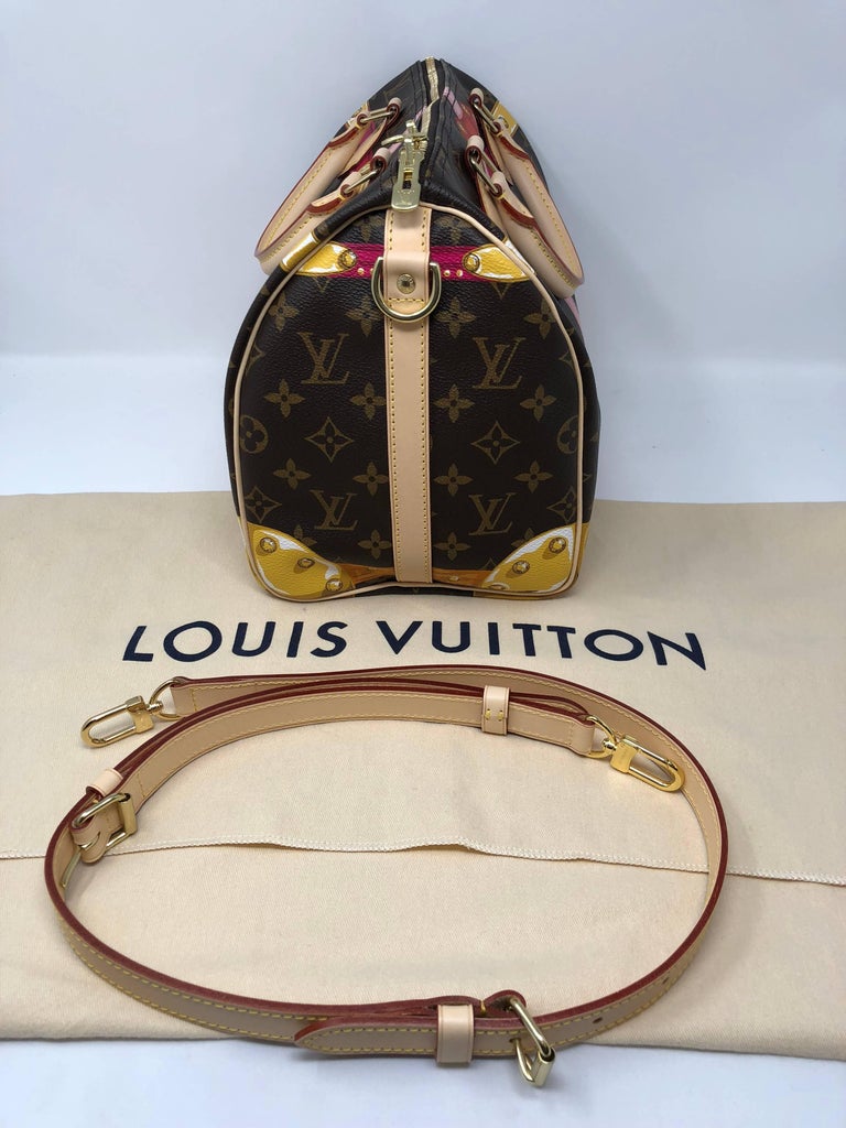 Louis Vuitton Trunks Collection 2018 Speedy 30 Bandouliere at 1stdibs