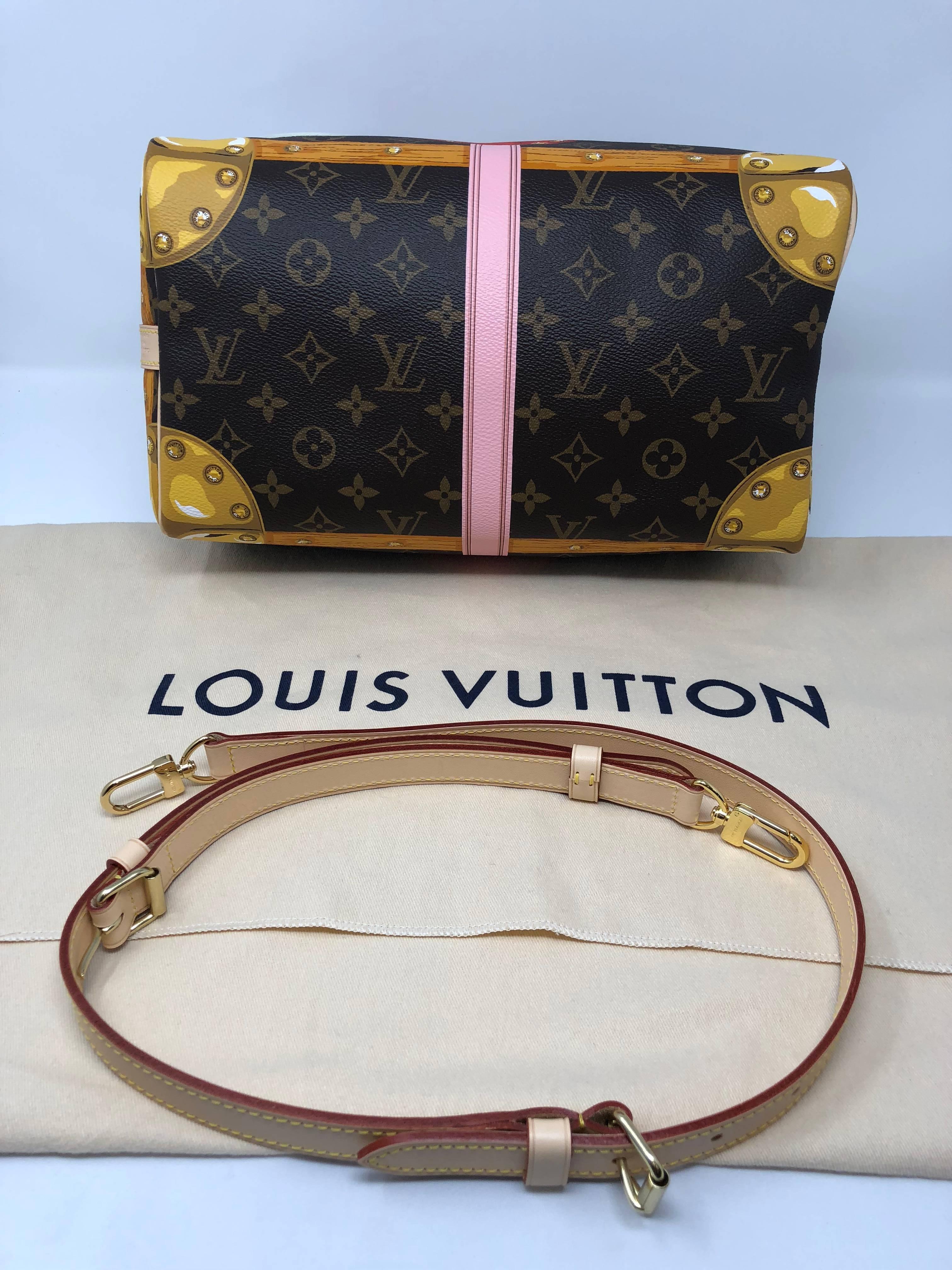 louis vuitton speedy 30 2018