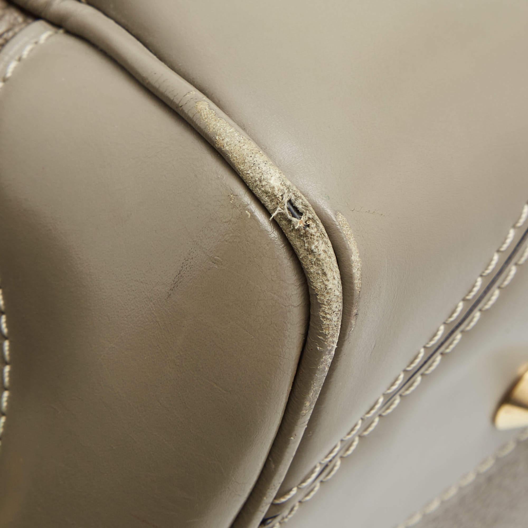 Louis Vuitton Verone Suhali Ledertasche Le Radieux 5