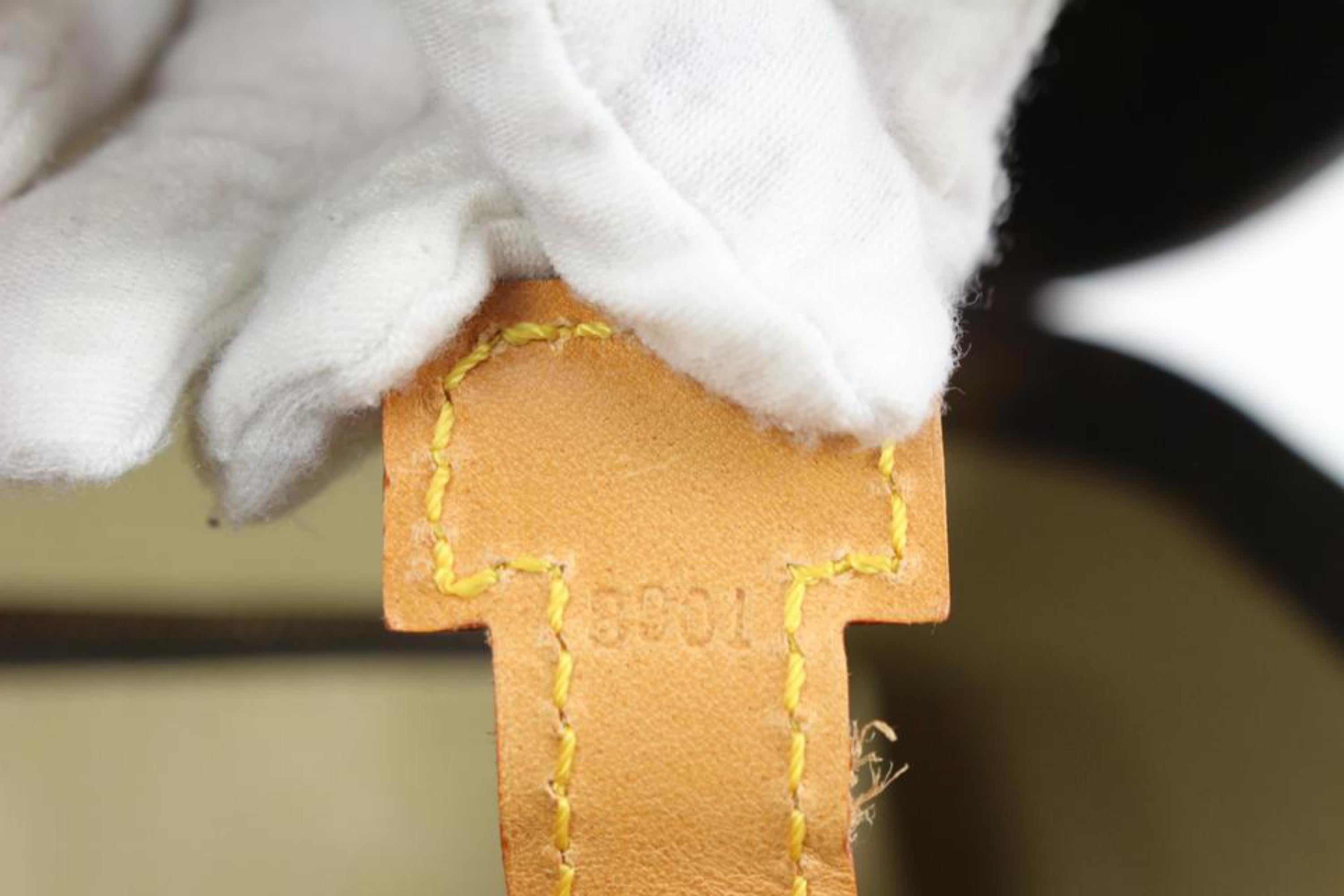louis vuitton mac case