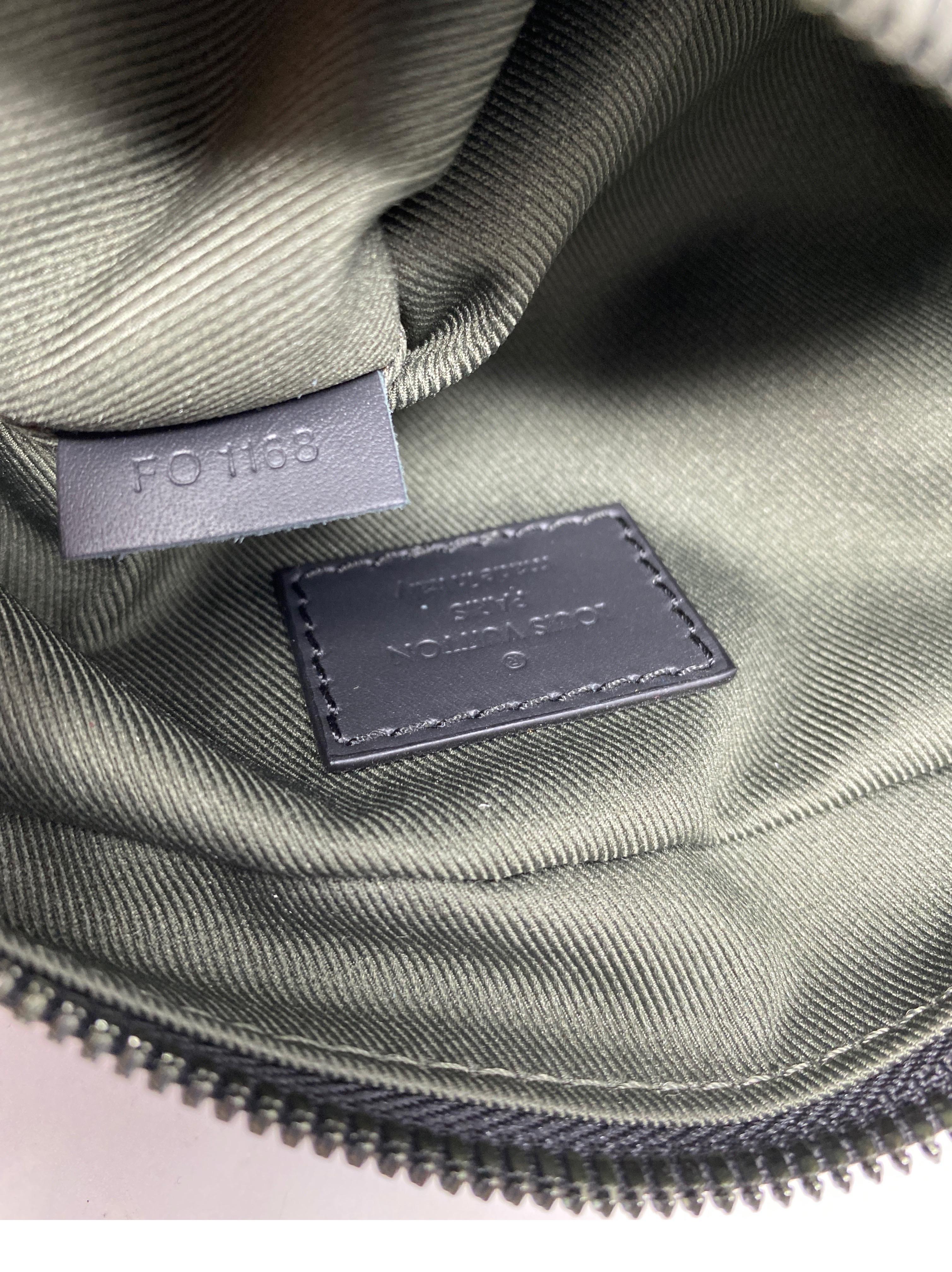 Louis Vuitton Vivienne Danube Crossbody Bag 3