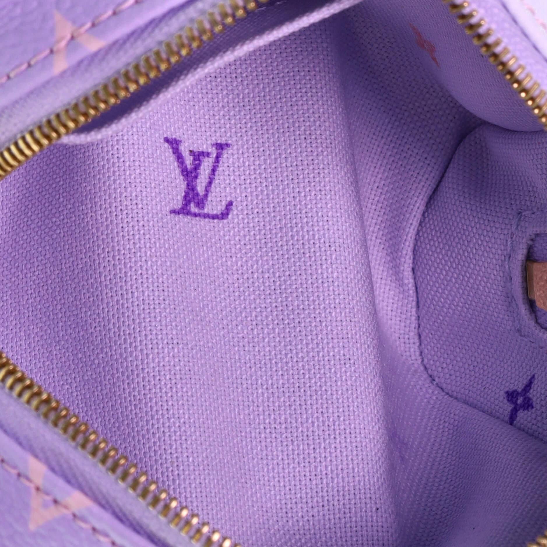 Gray Louis Vuitton Wapity Case Spring in the City Monogram Giant Canvas