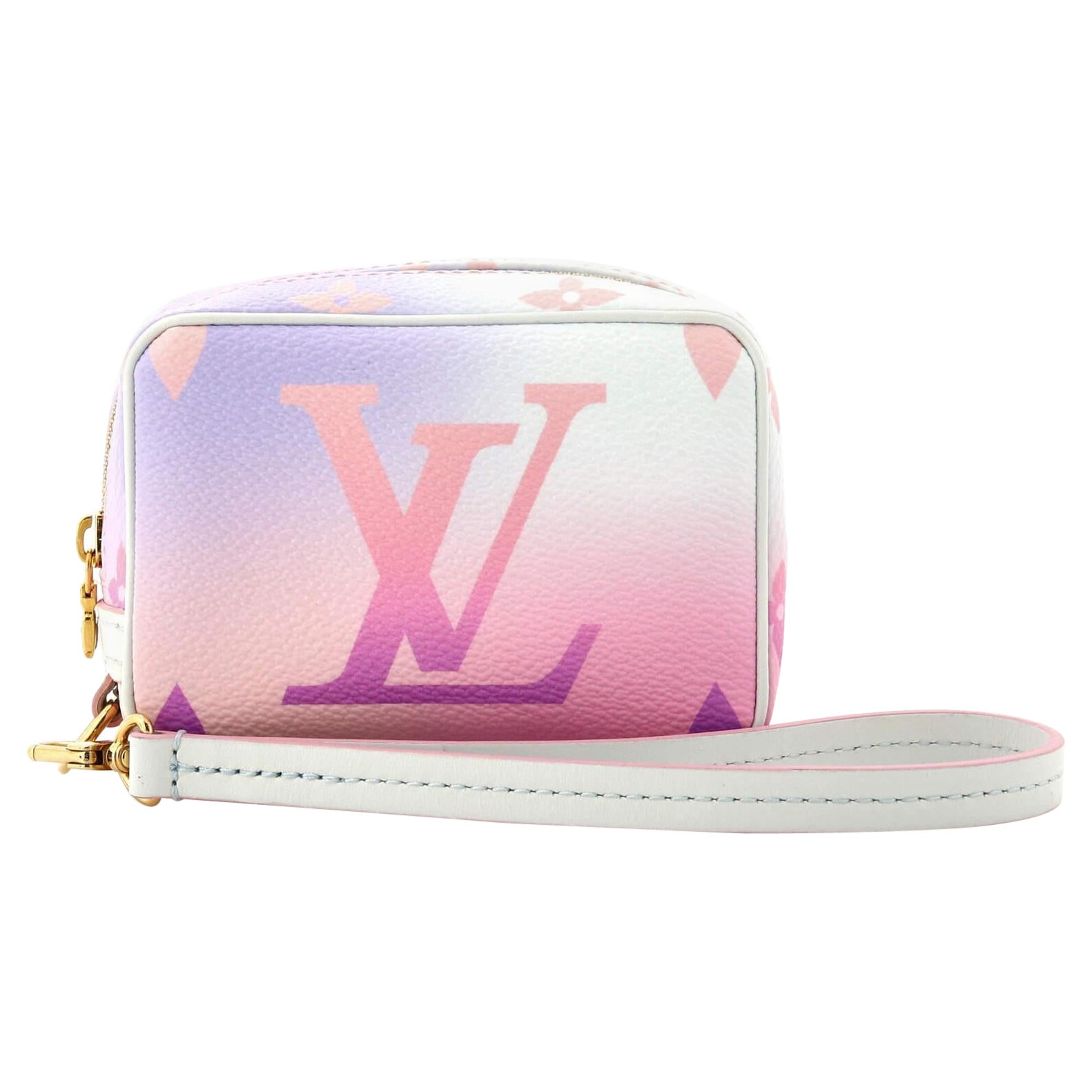 Louis Vuitton Wapity Case Spring in the City Monogram Giant Canvas