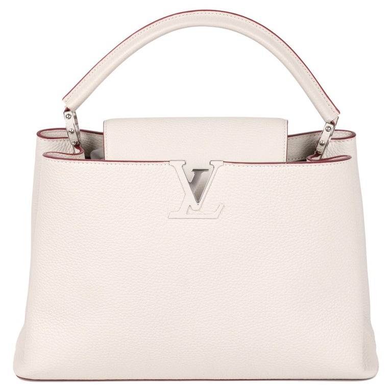 New Louis Vuitton Storage XL Large Handbag Dust Bag #21317
