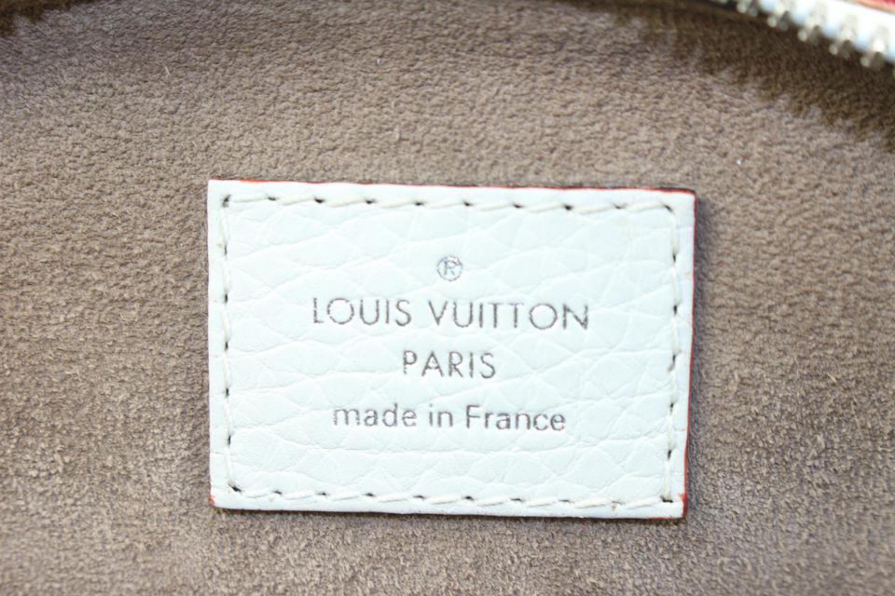 louis vuitton purse