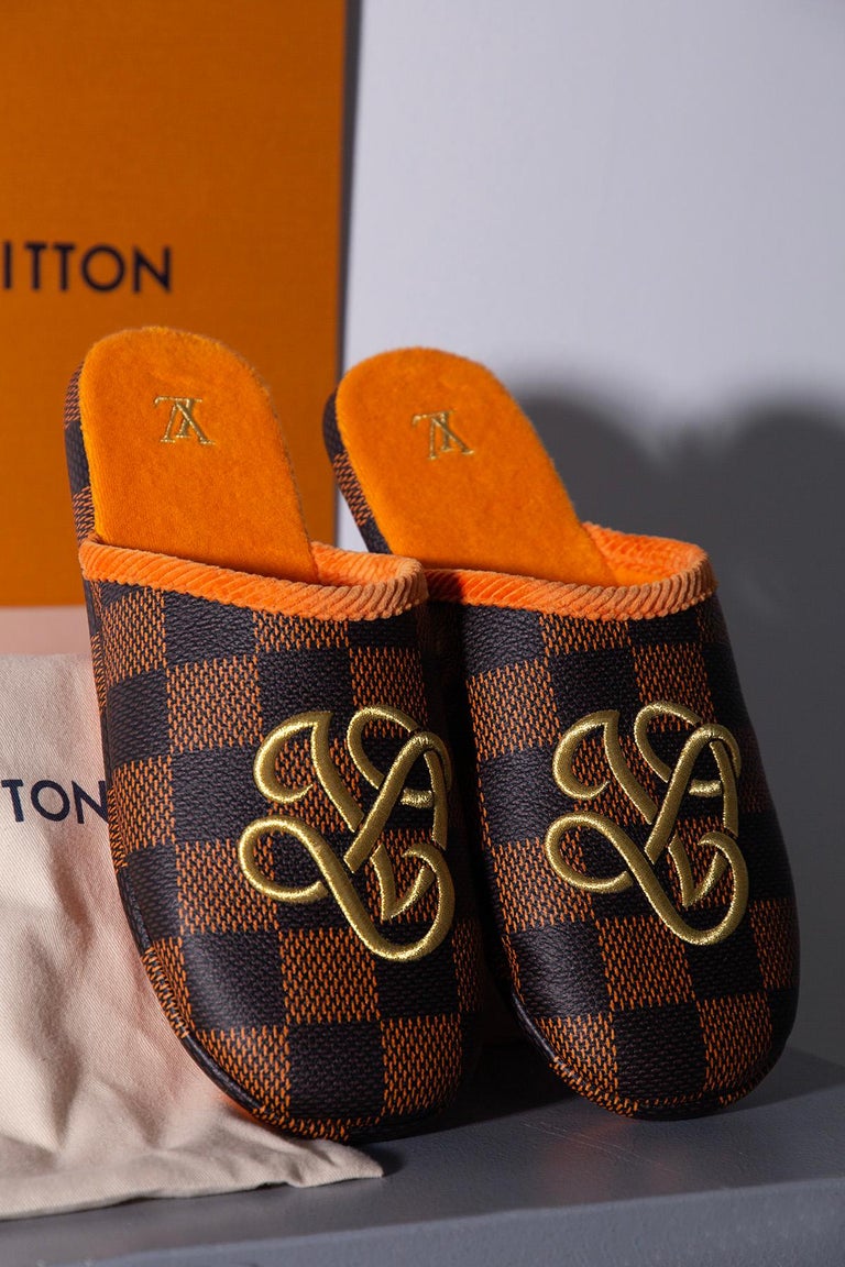 Louis Vuitton Will We Pharell Palace Slipper Damier Pop  display picture 3