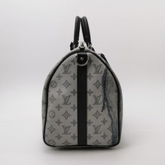 Louis Vuitton x Chapman Brothers Keepall 45 Bandouliere Lion Elephant