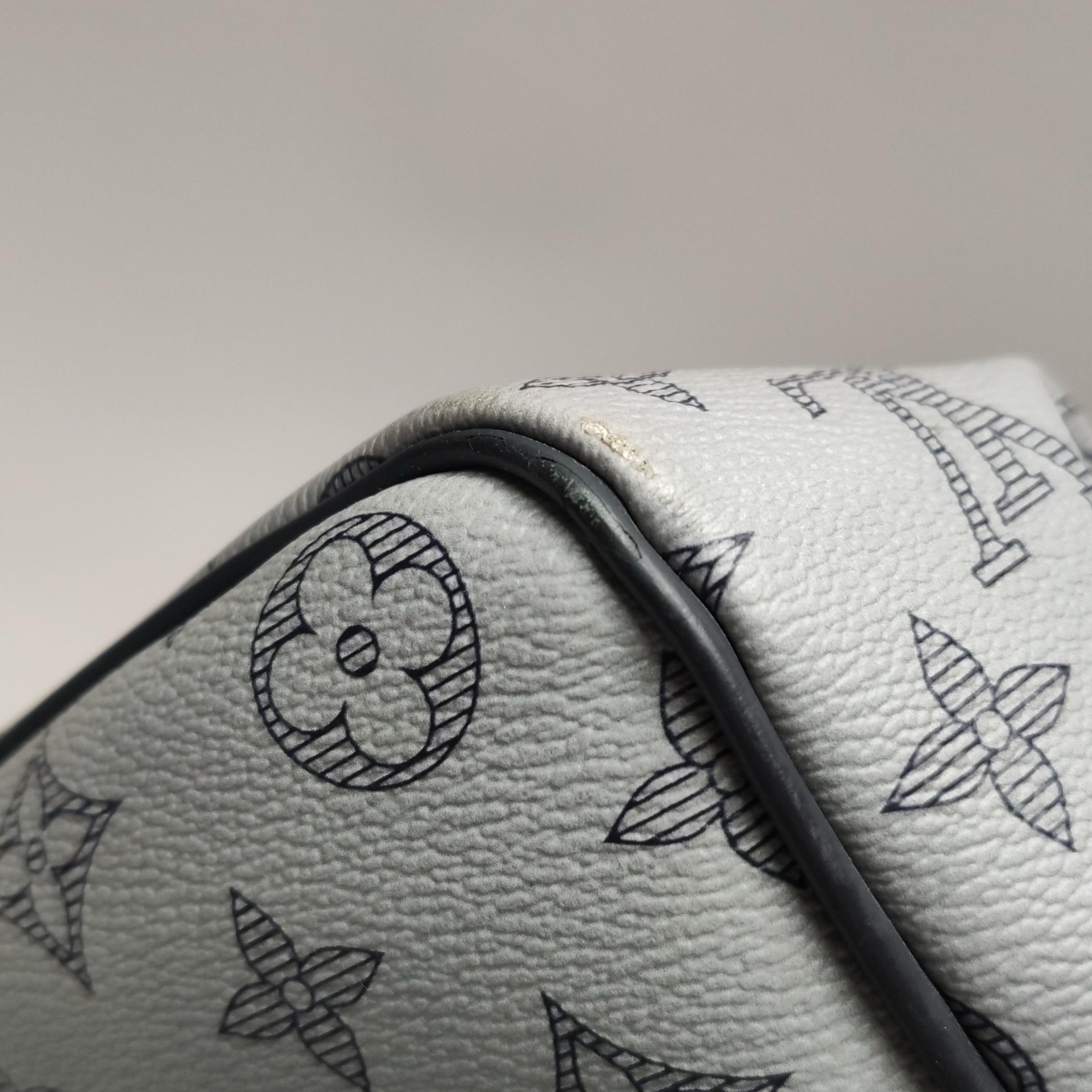 Louis Vuitton x Chapman Brothers Keepall 45 Bandouliere Leone Elefante in vendita 15